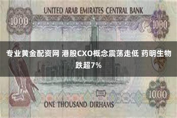 专业黄金配资网 港股CXO概念震荡走低 药明生物跌超7%