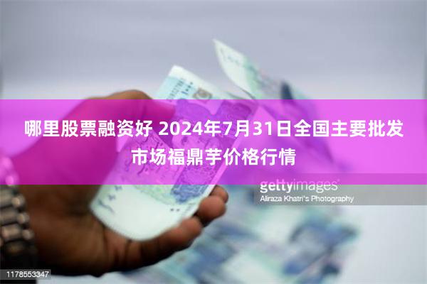 哪里股票融资好 2024年7月31日全国主要批发市场福鼎芋价格行情