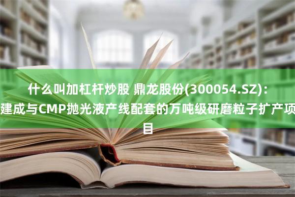 什么叫加杠杆炒股 鼎龙股份(300054.SZ)：已建成与CMP抛光液产线配套的万吨级研磨粒子扩产项目