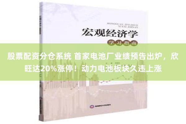 股票配资分仓系统 首家电池厂业绩预告出炉，欣旺达20%涨停！动力电池板块久违上涨