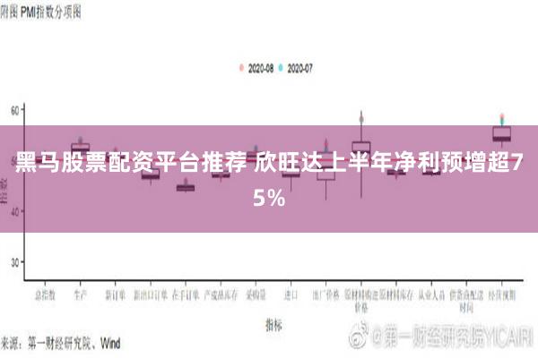 黑马股票配资平台推荐 欣旺达上半年净利预增超75%