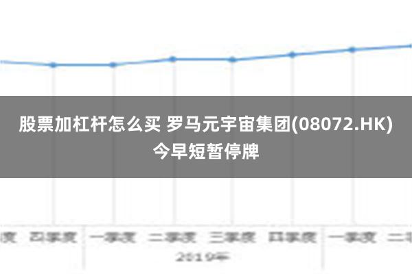 股票加杠杆怎么买 罗马元宇宙集团(08072.HK)今早短暂停牌