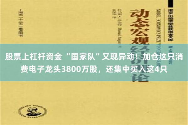 股票上杠杆资金 “国家队”又现异动！加仓这只消费电子龙头3800万股，还集中买入这4只