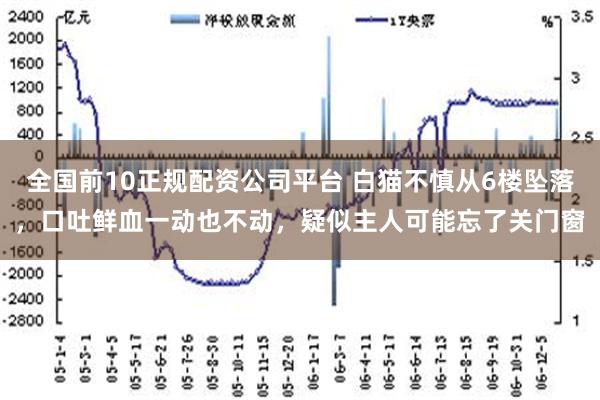 全国前10正规配资公司平台 白猫不慎从6楼坠落，口吐鲜血一动也不动，疑似主人可能忘了关门窗