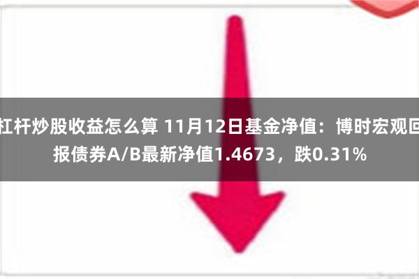 杠杆炒股收益怎么算 11月12日基金净值：博时宏观回报债券A/B最新净值1.4673，跌0.31%