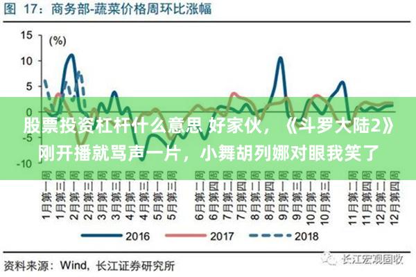 股票投资杠杆什么意思 好家伙，《斗罗大陆2》刚开播就骂声一片，小舞胡列娜对眼我笑了