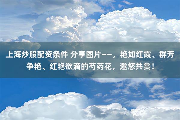 上海炒股配资条件 分享图片——，艳如红霞、群芳争艳、红艳欲滴的芍药花，邀您共赏！